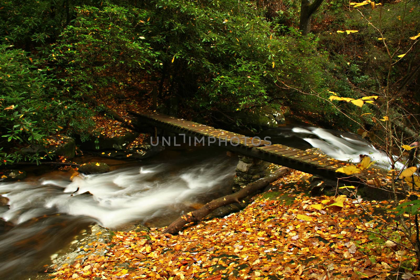 Creek with small foot bridge during autumn of the year.