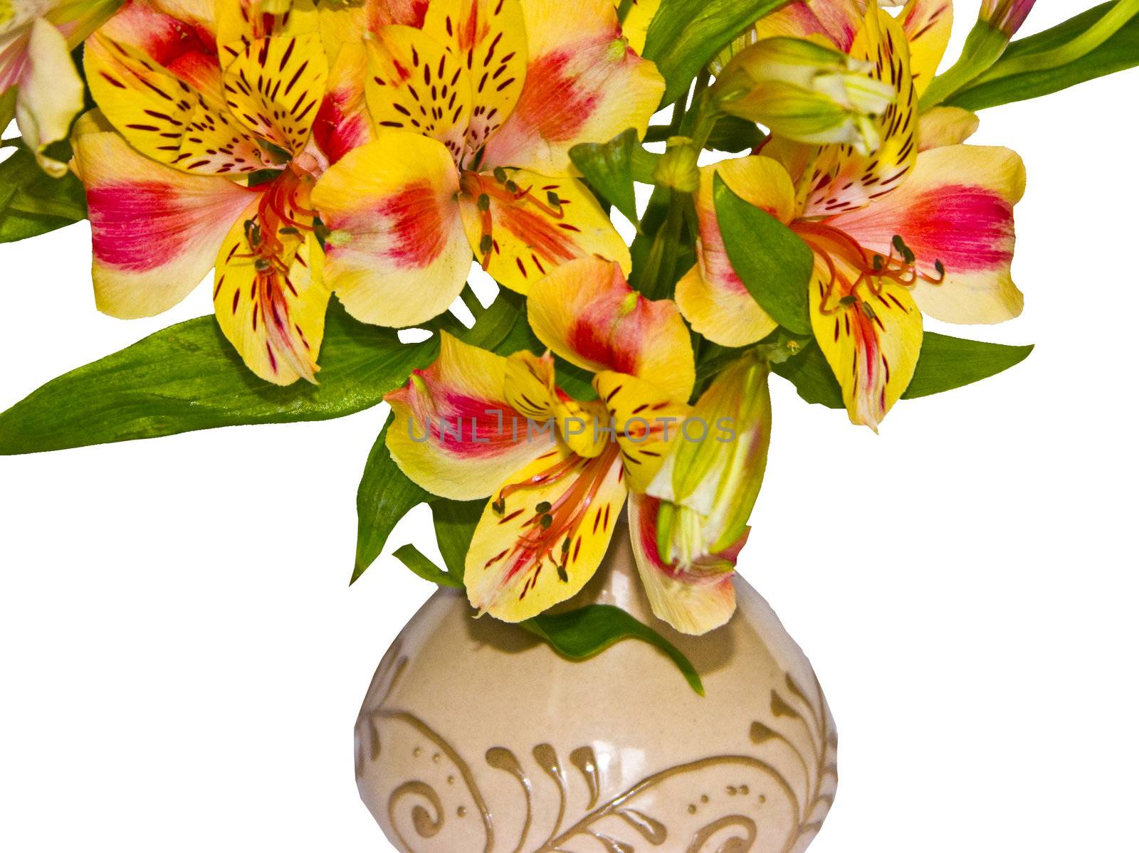 bouquet of alstroemeria in a clay vase1 by soloir