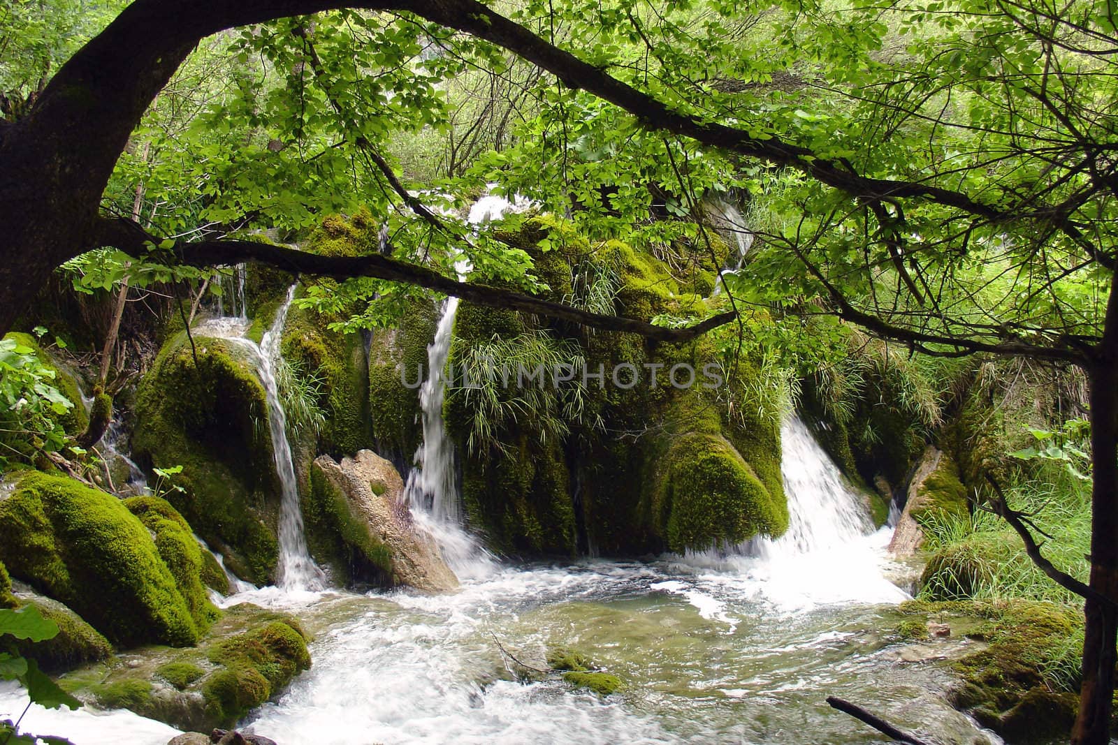 Little waterfall on Plitvice lakes in Croatia