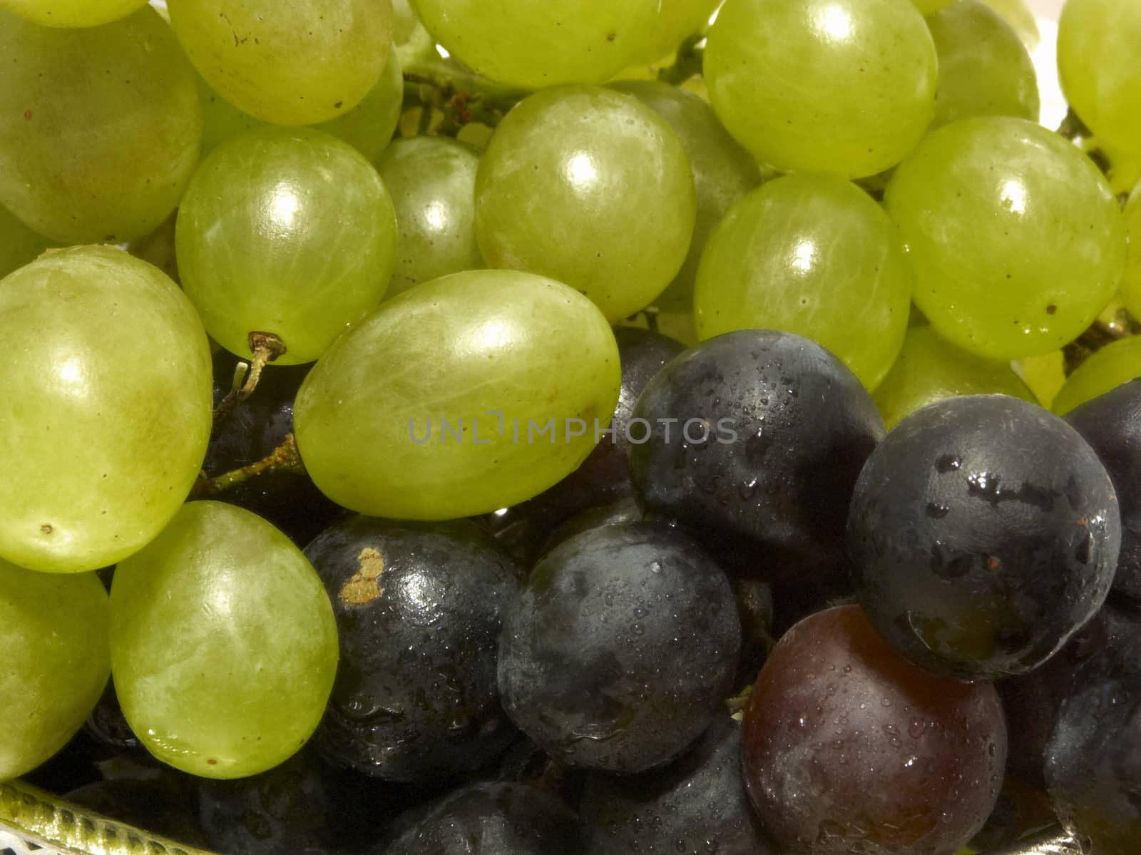 Such different grapes by soloir