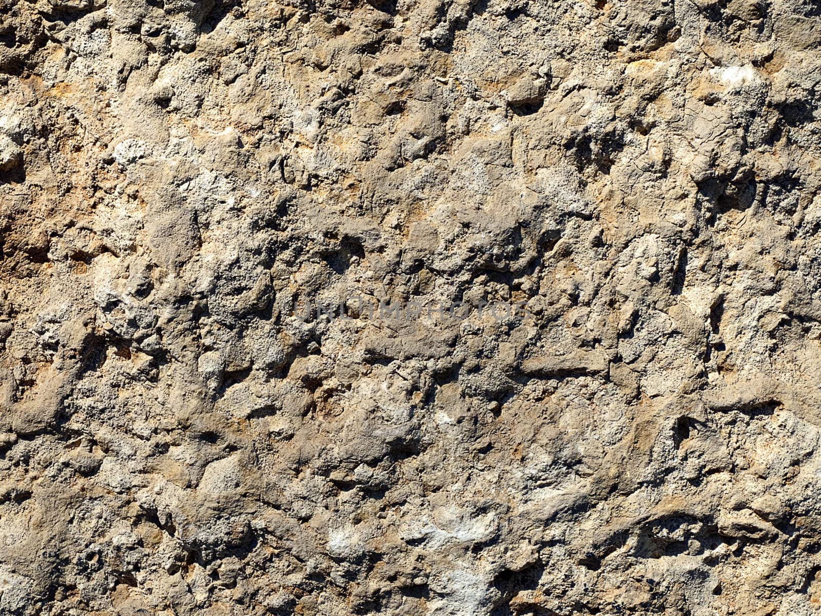 Texture background of soil in sunlight.