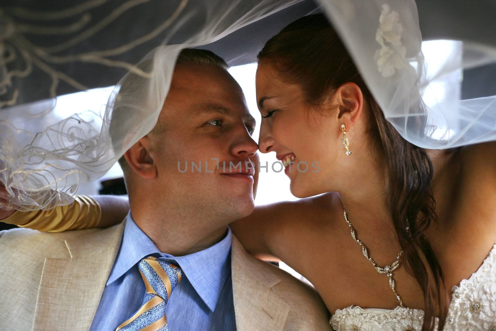 The groom and the bride in car