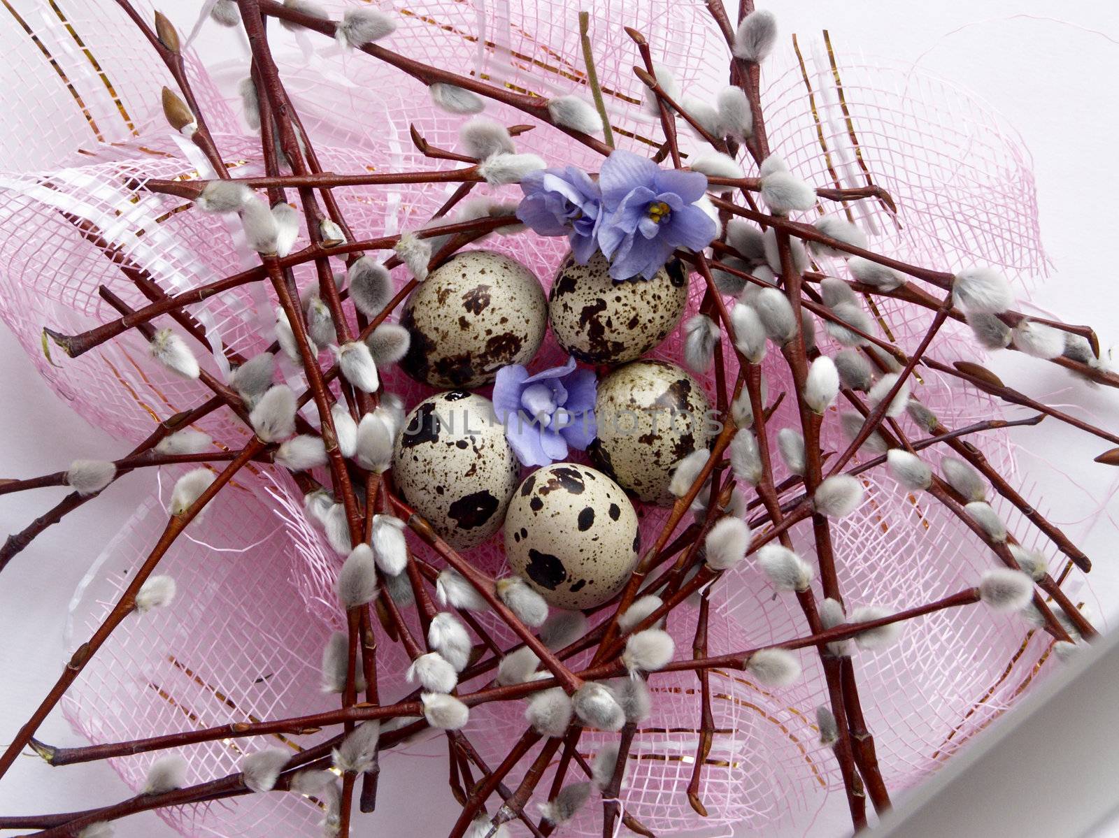 The image of eggs of a female quail, willow and violets on a pink background