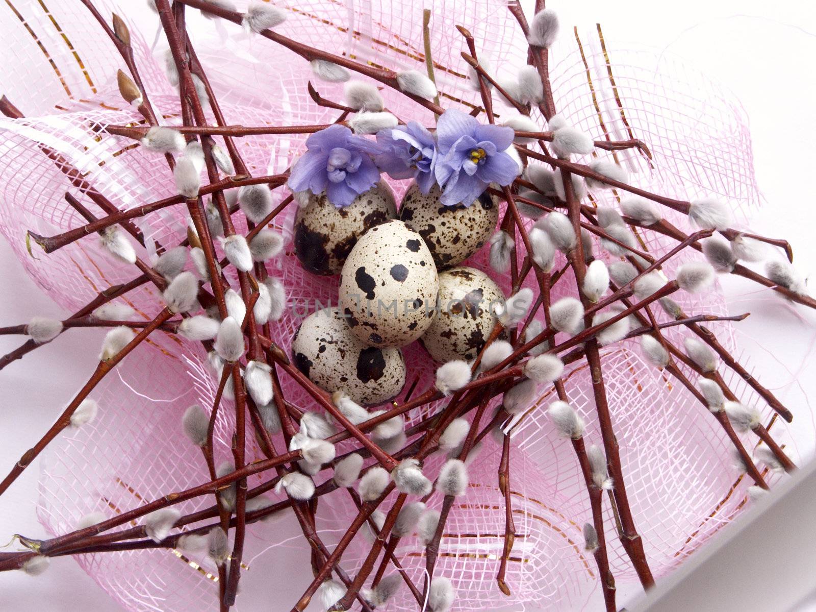 The image of eggs of a female quail, willow and violets on a pink background