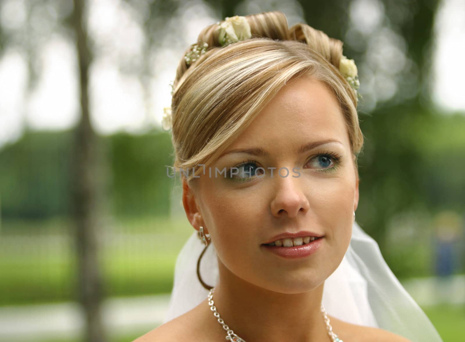 The beautiful bride on a green background