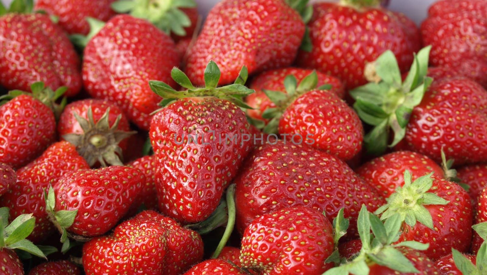 Strawberries for sale at the market