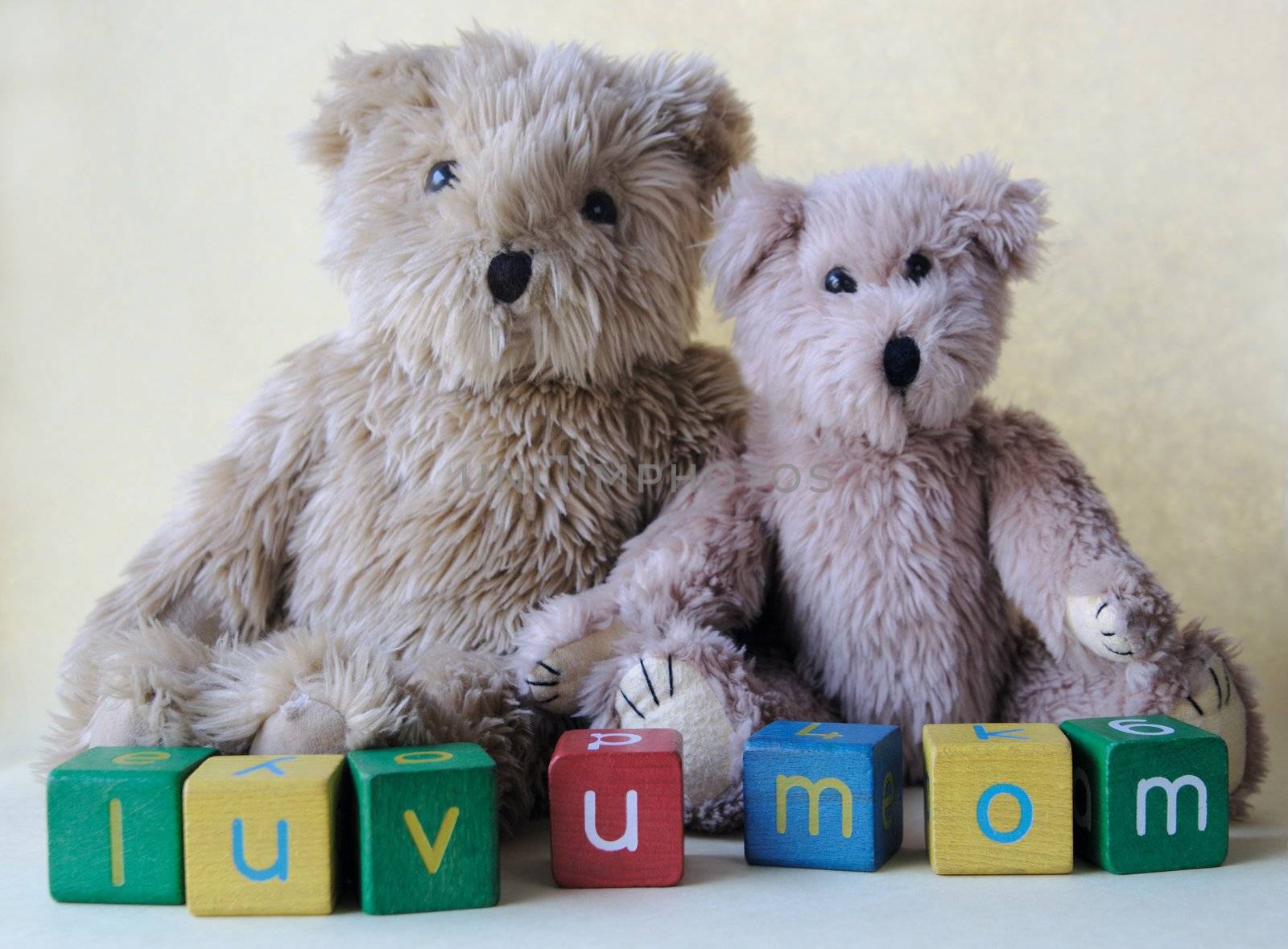 two much-loved teddy bears with colorful blocks spelling 'luv u mom'