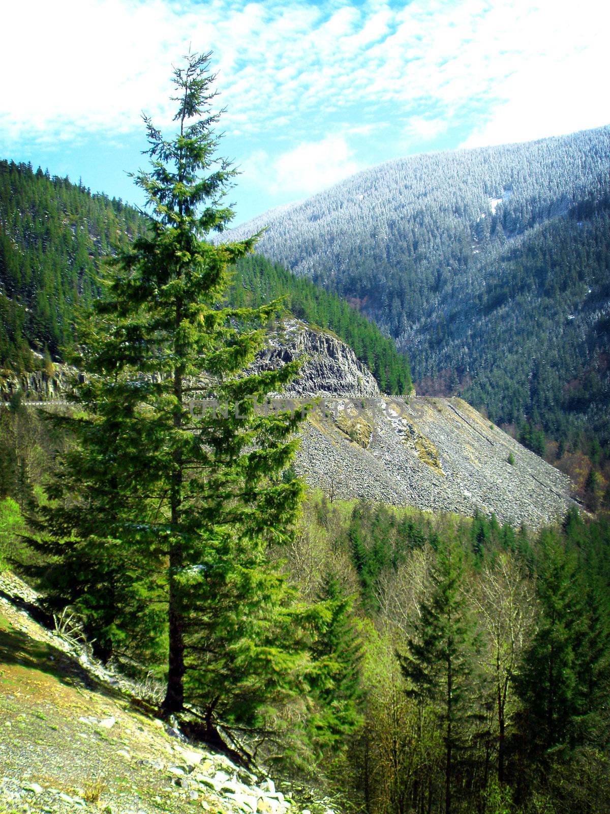 A mountain road in Oregon.