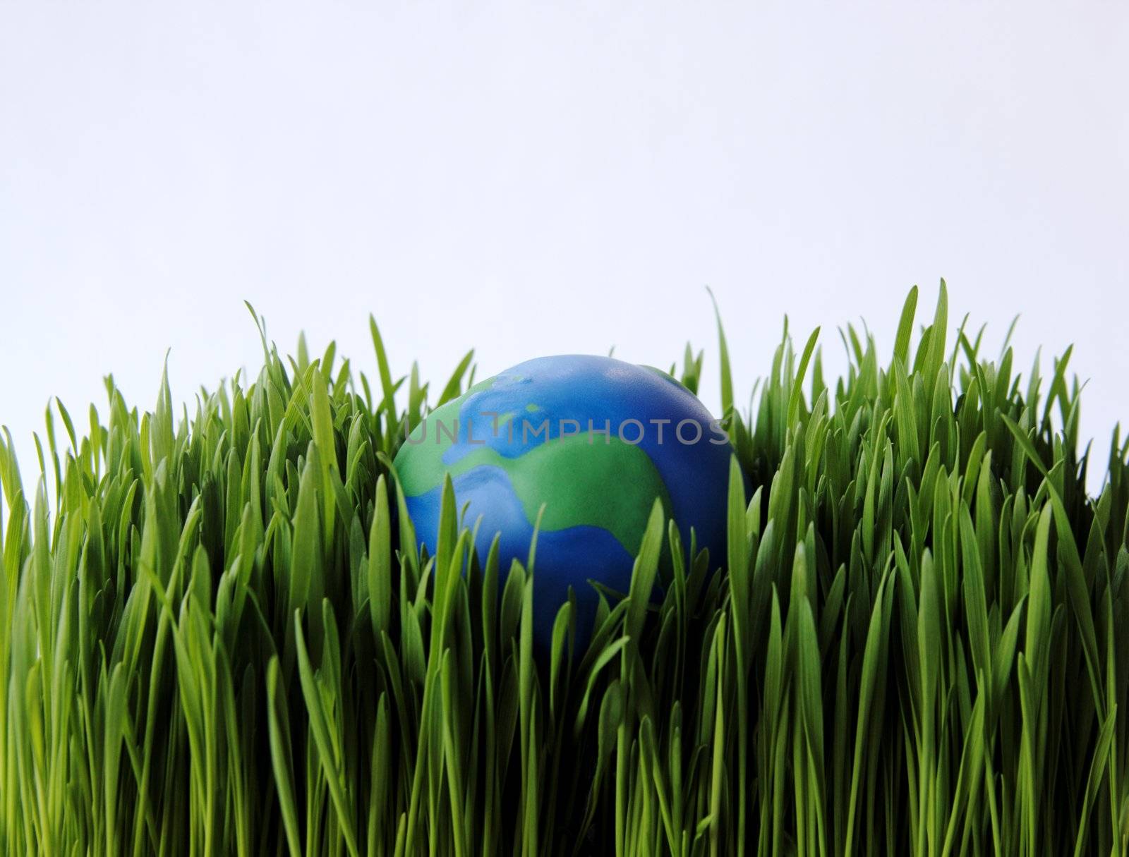 a small rubber globe in wheat grass