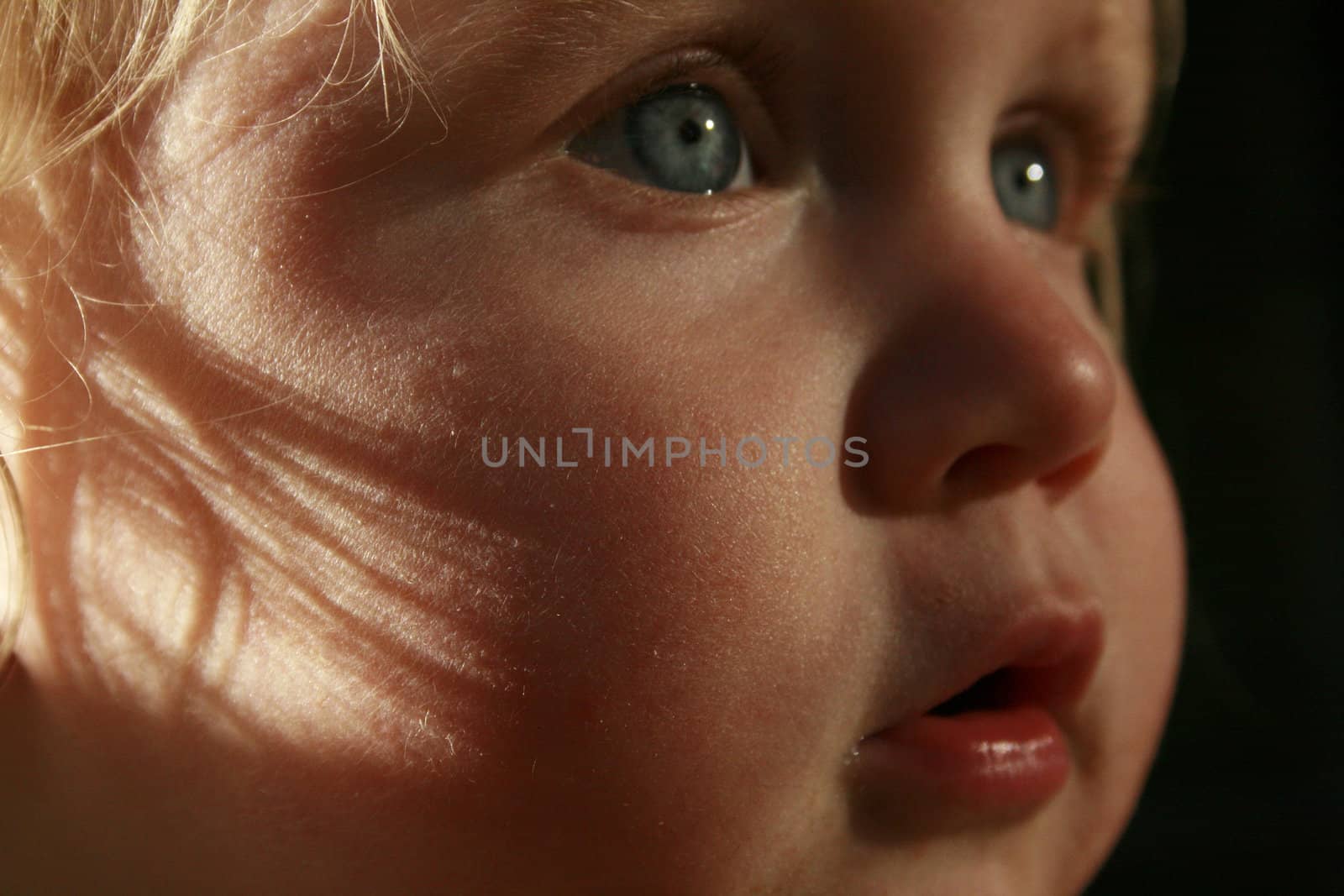 close up of a child`s consentrated look of love