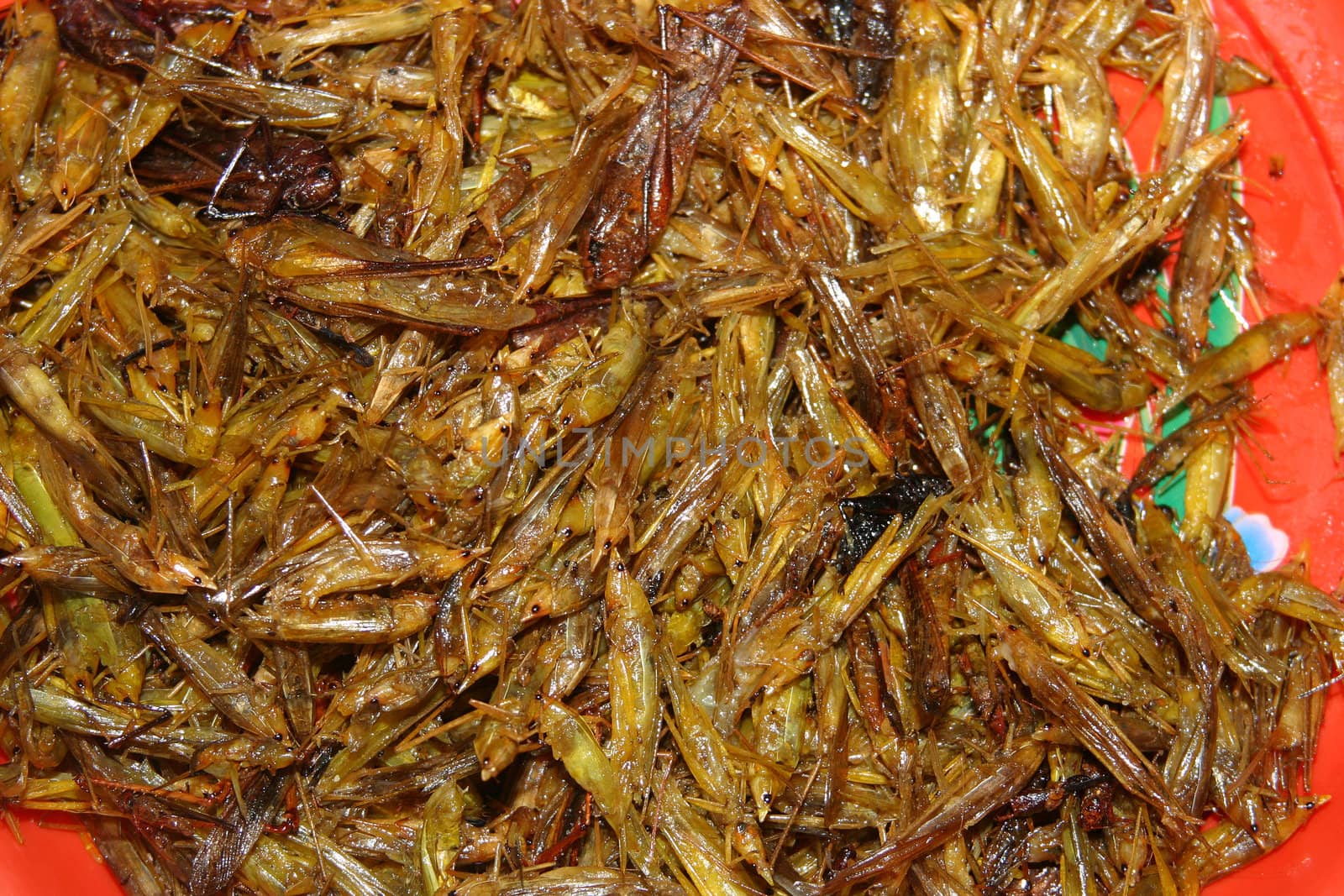 Fried grasshoppers for sale at a market in Thailand