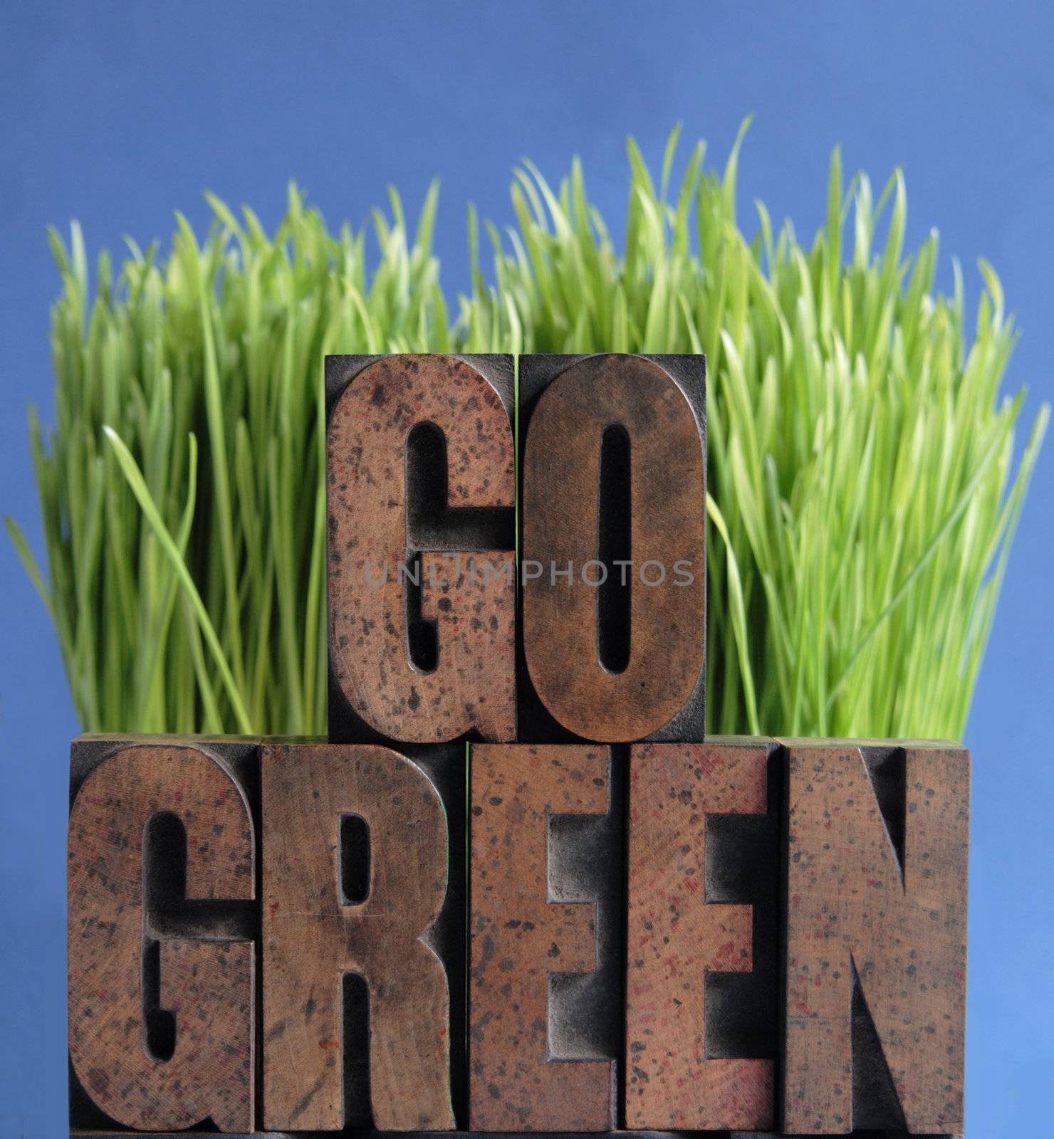 the words 'go green' in letterpress wood letters against fresh green grass