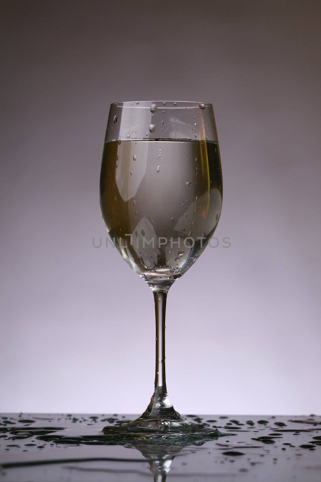 wine glass by Yellowj