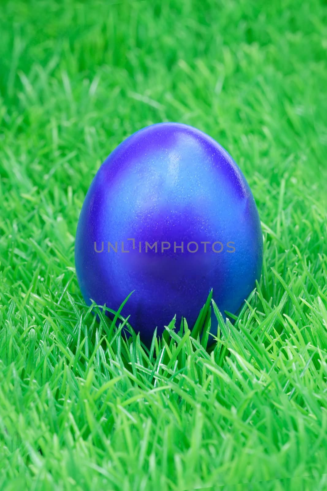 Blue Easter egg on green grass background