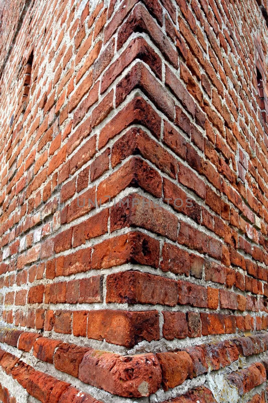 brick wall by zeber