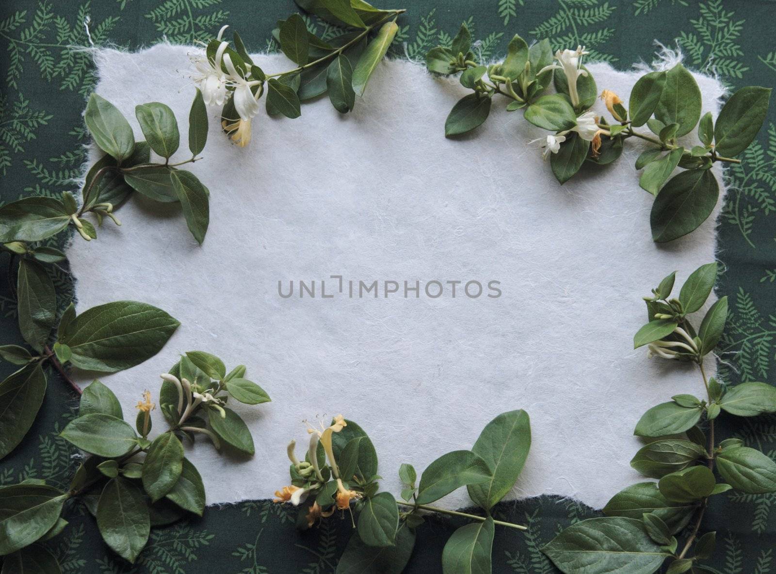 honeysuckle flowers and leaves on textured paper and green fabric