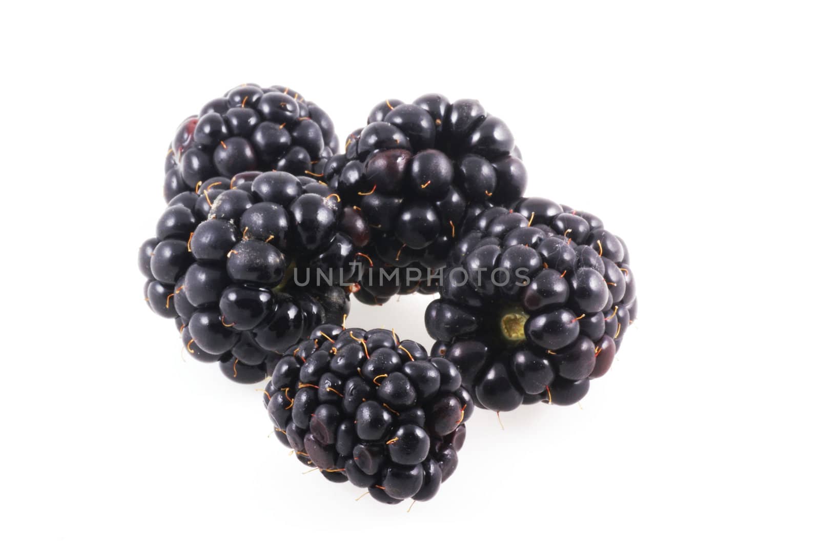 Blackberries isolated on a white background.