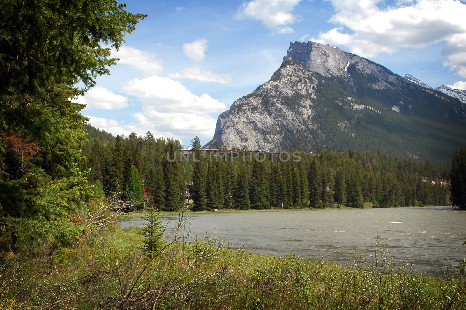 Image of a tree lined river with a mountain in the background and blue skys with clouds.