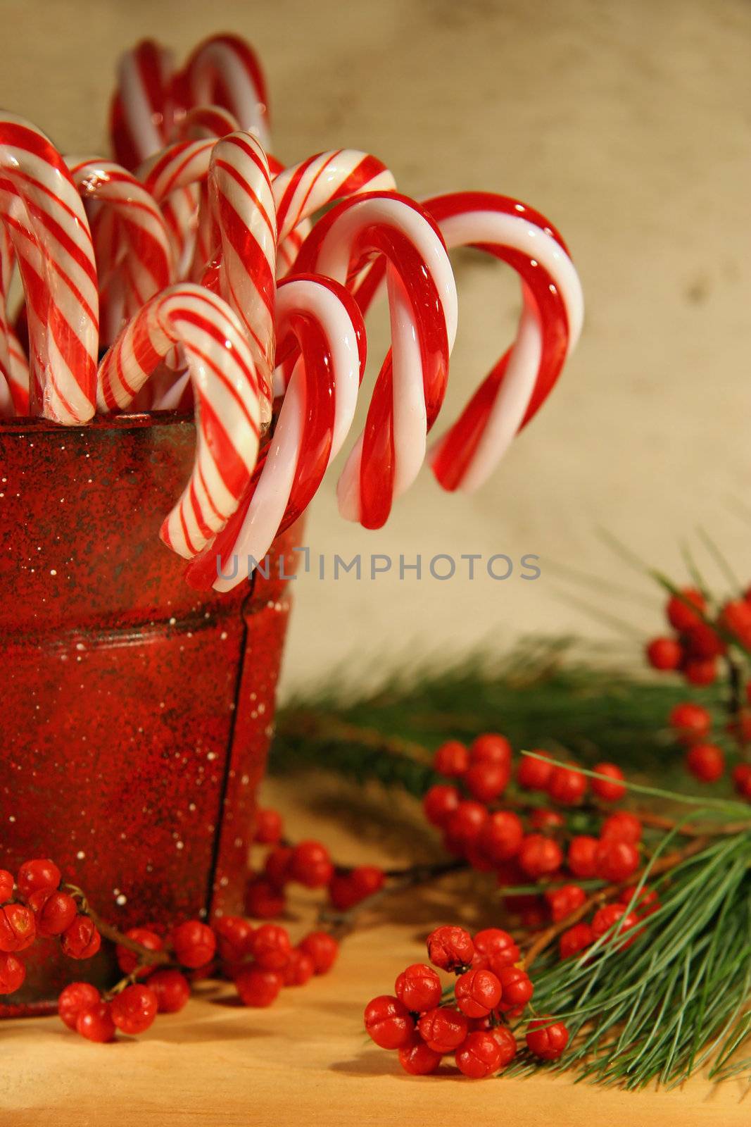 Candy canes in  a red old tin can with berries and pine