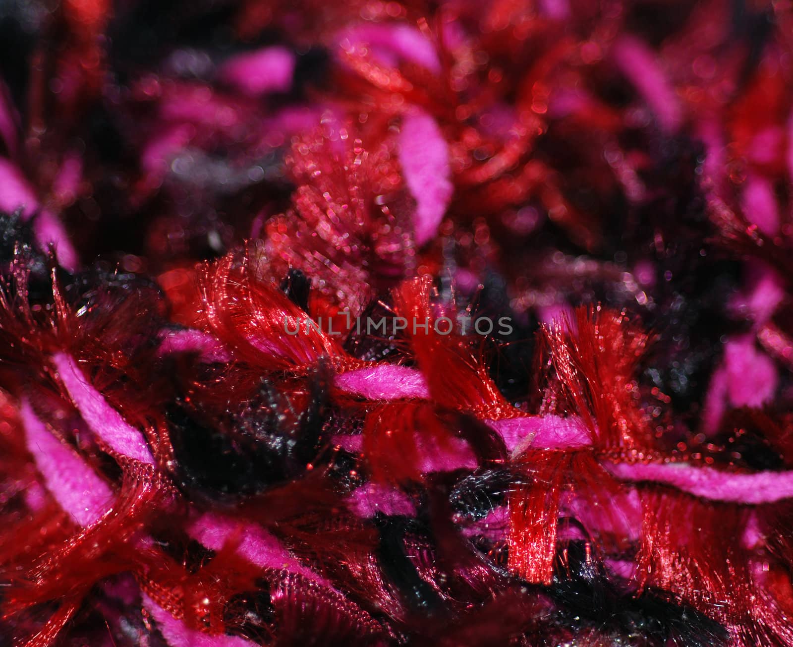 Red and Pink Fibers Close Up by pwillitts