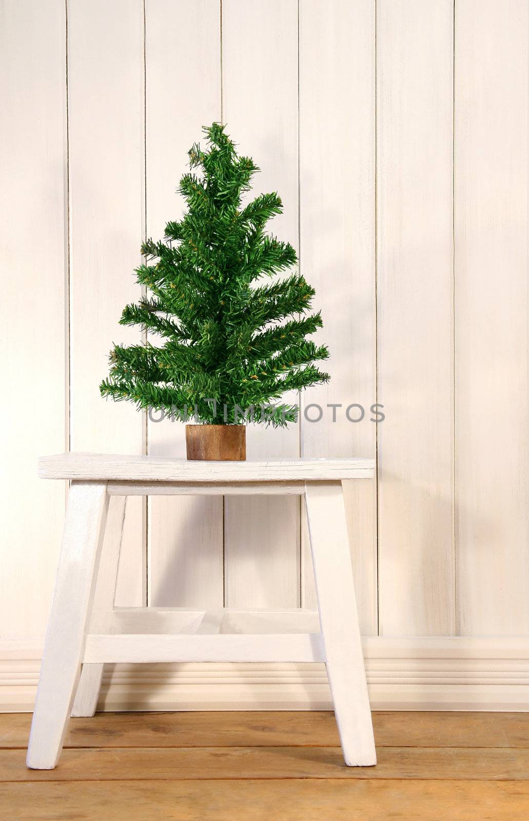 Little green fir tree on rustric white bench