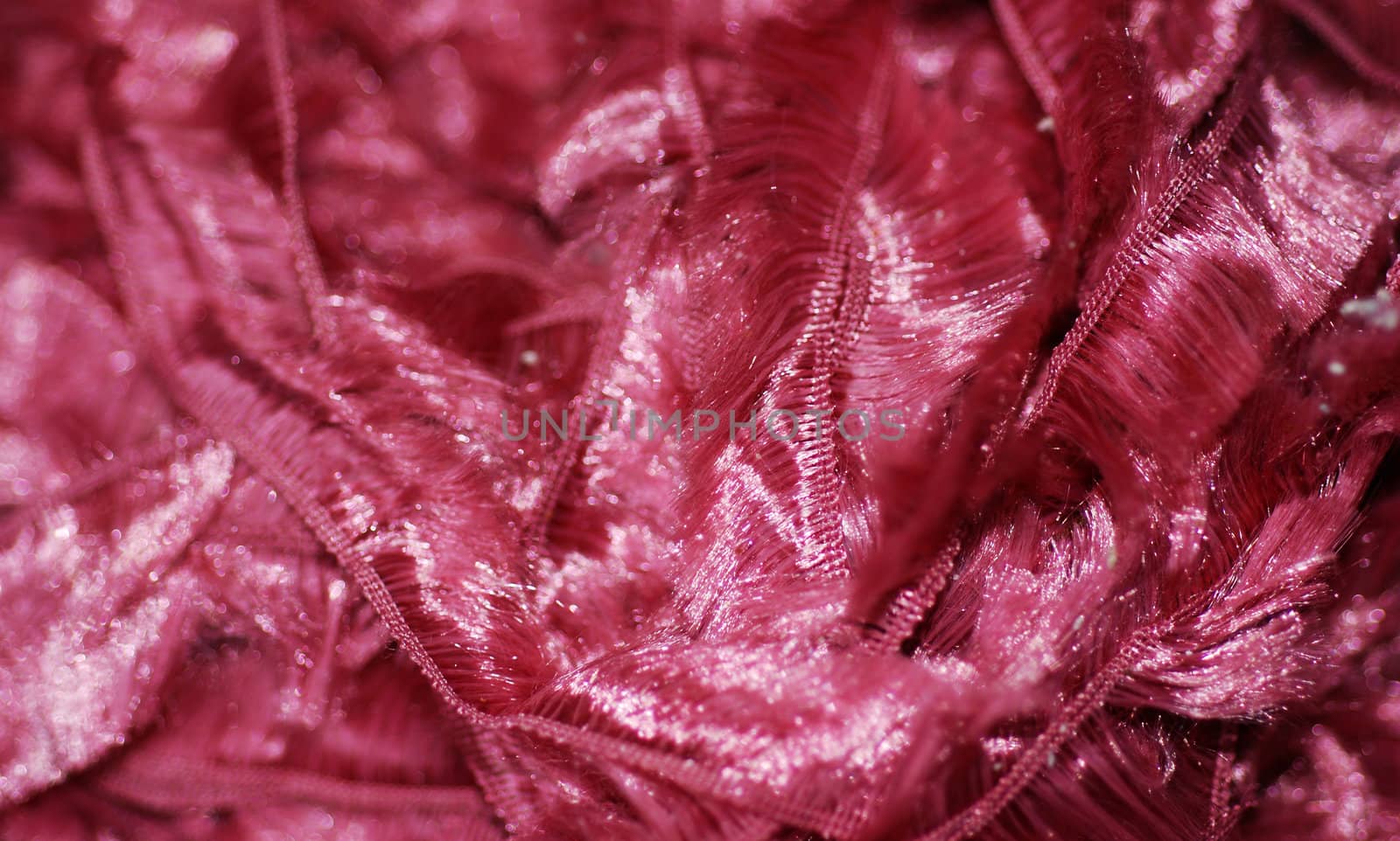 Pink Fibres by pwillitts