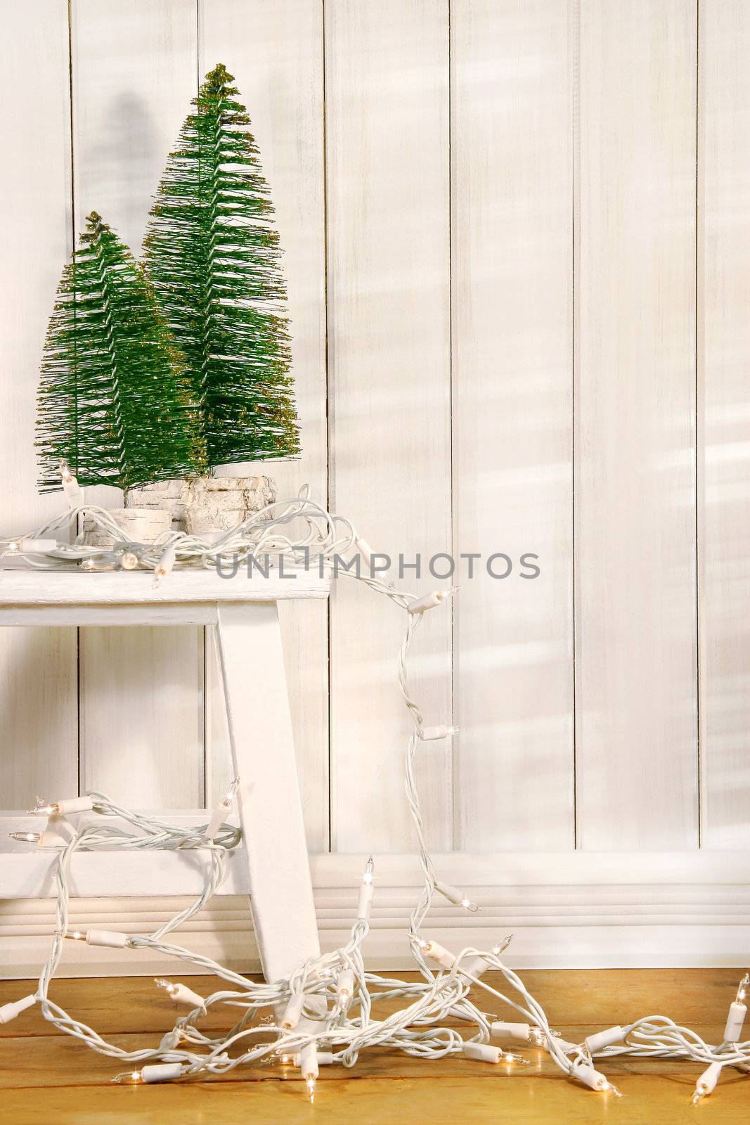 White tree lights hanging from old bench with little green trees