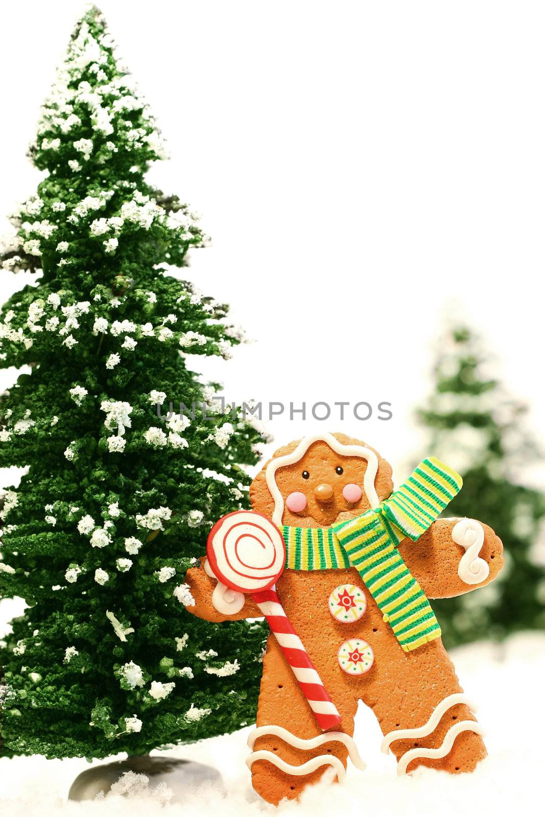 Little gingerbread man with trees  by Sandralise