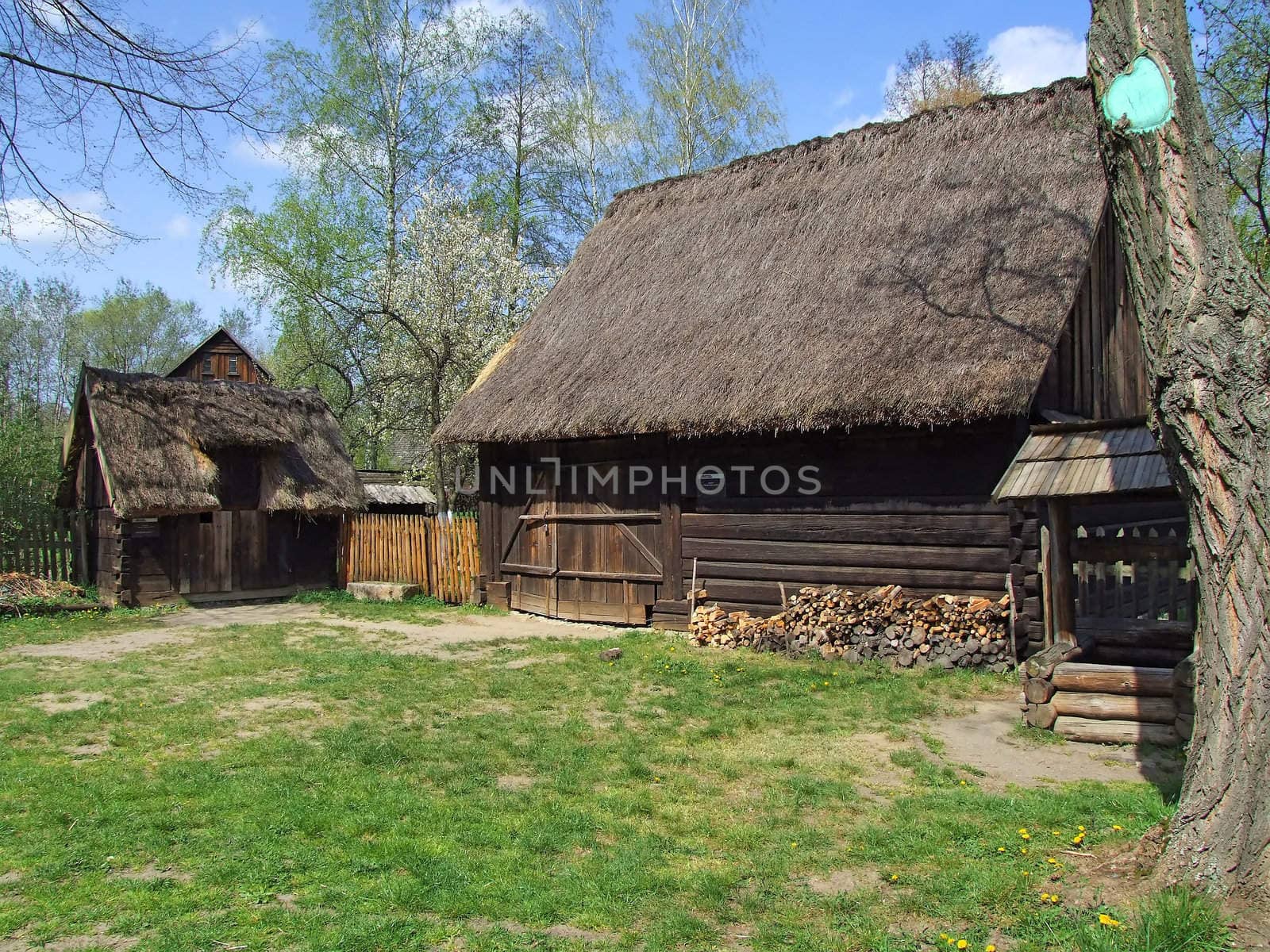Old wooden hut in village, green grass around