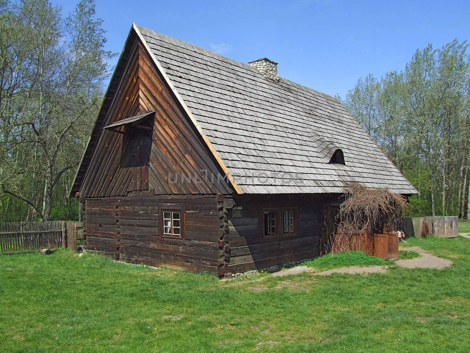 Old wooden hut in village, green grass around by anki21