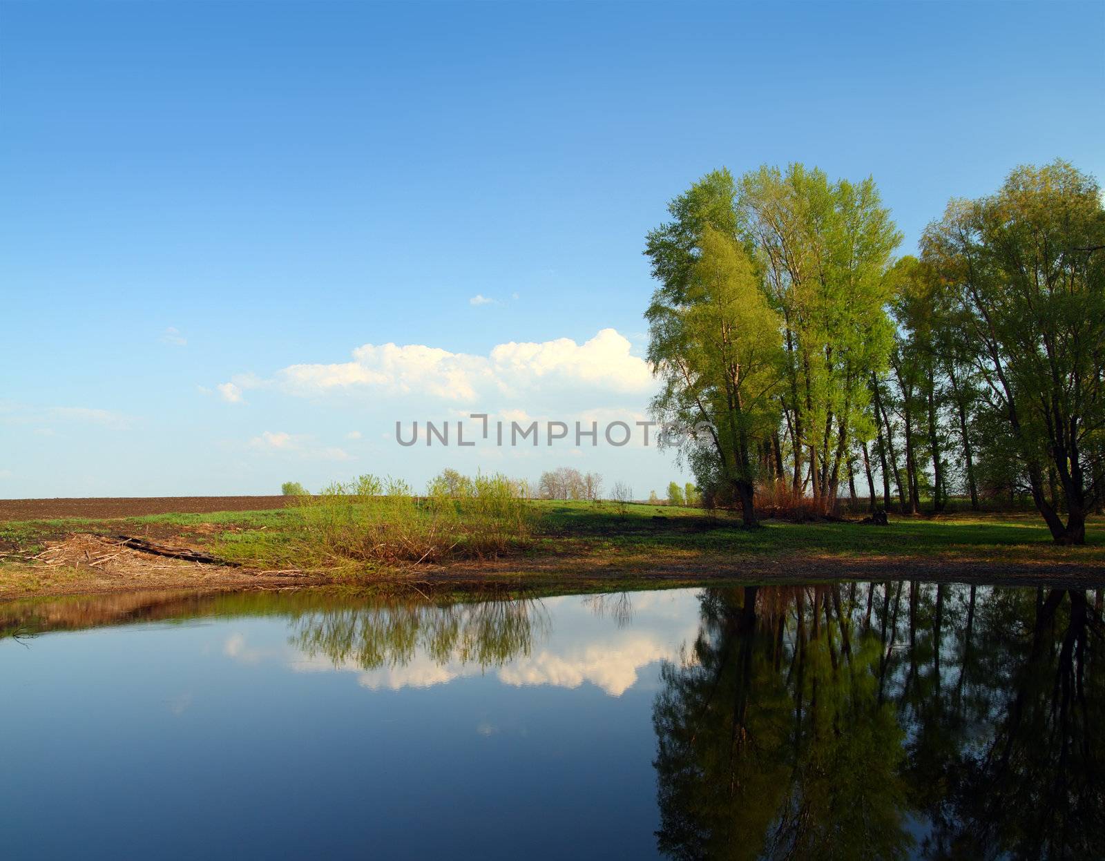 spring lake landscape in Russia