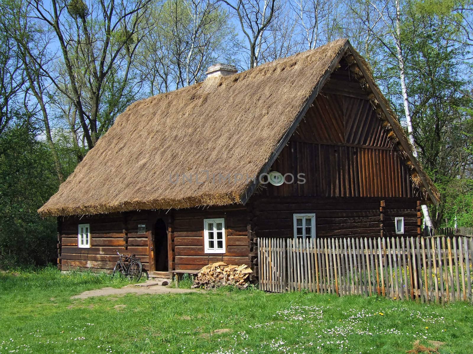 Old wooden hut in village, green grass around