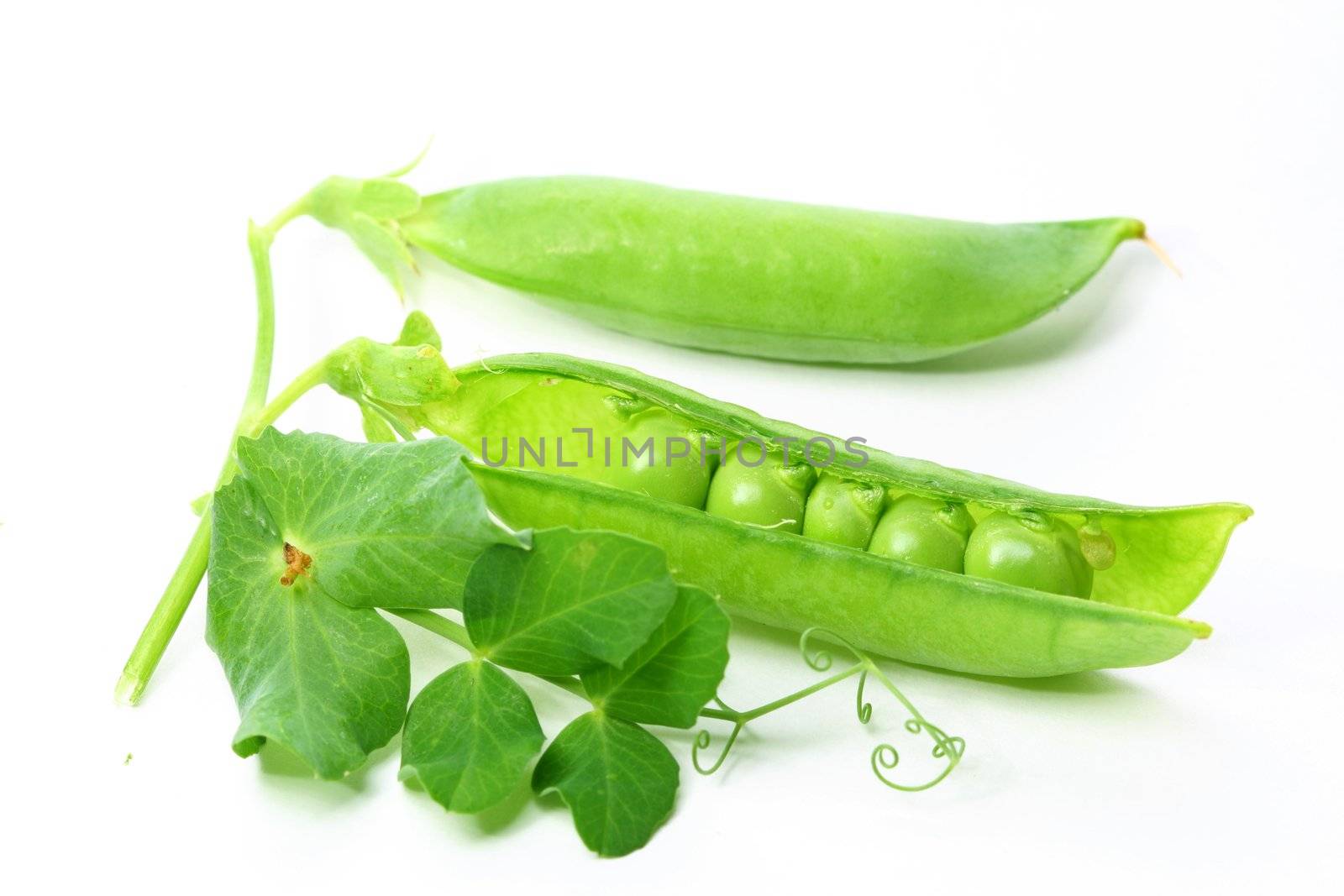 peas isolated on white background macro close up