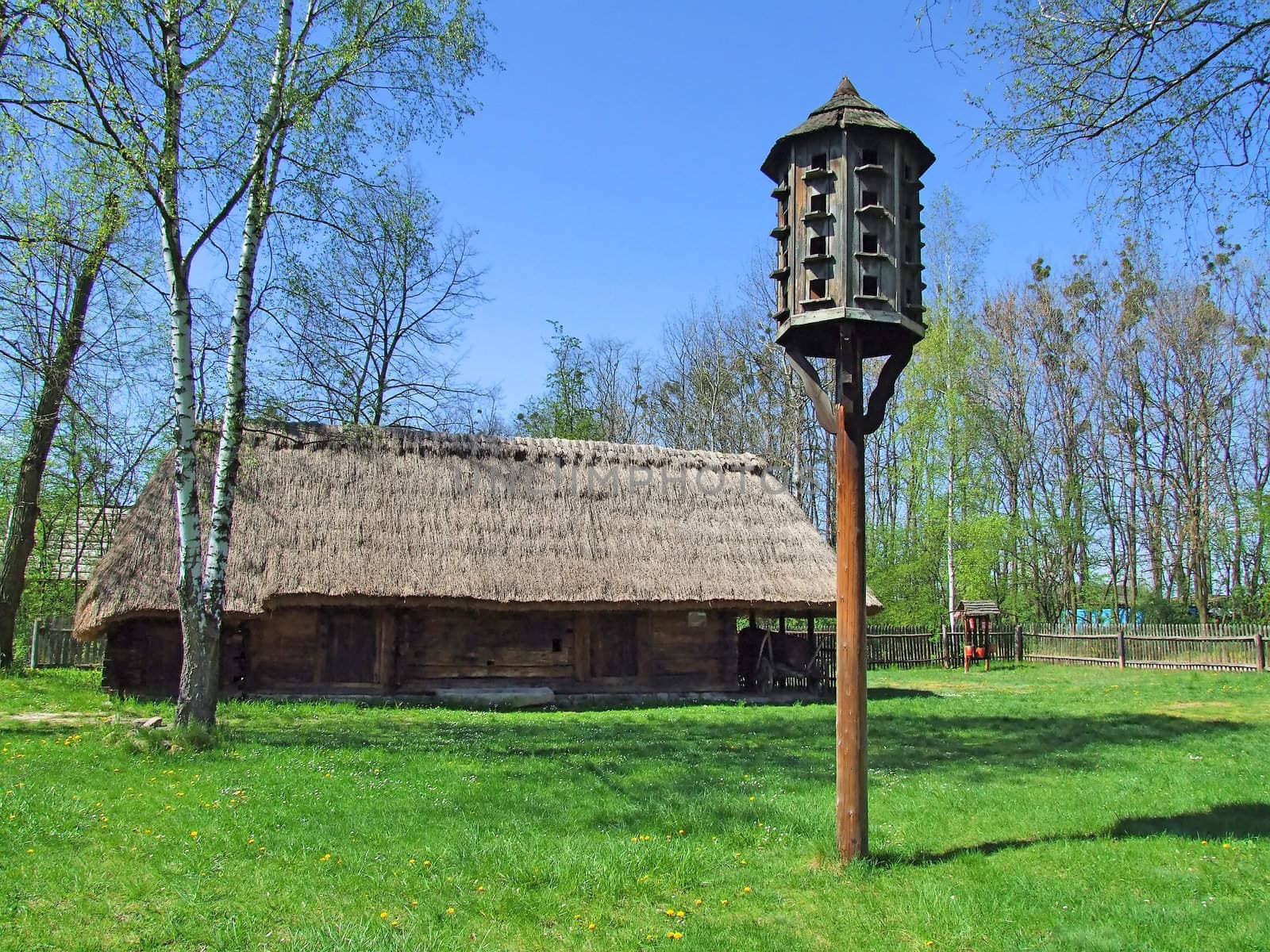 Old wooden hut in village, green grass around