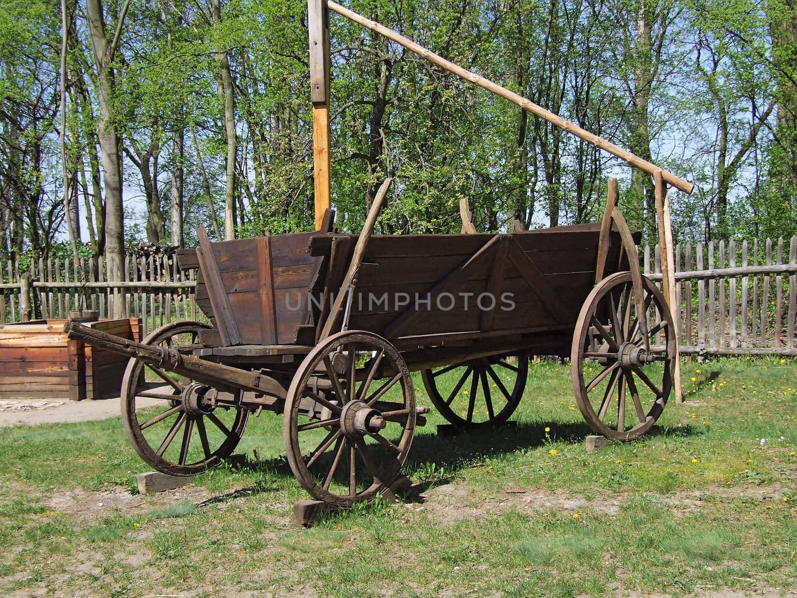 Old wooden wagon in village, green grass around by anki21