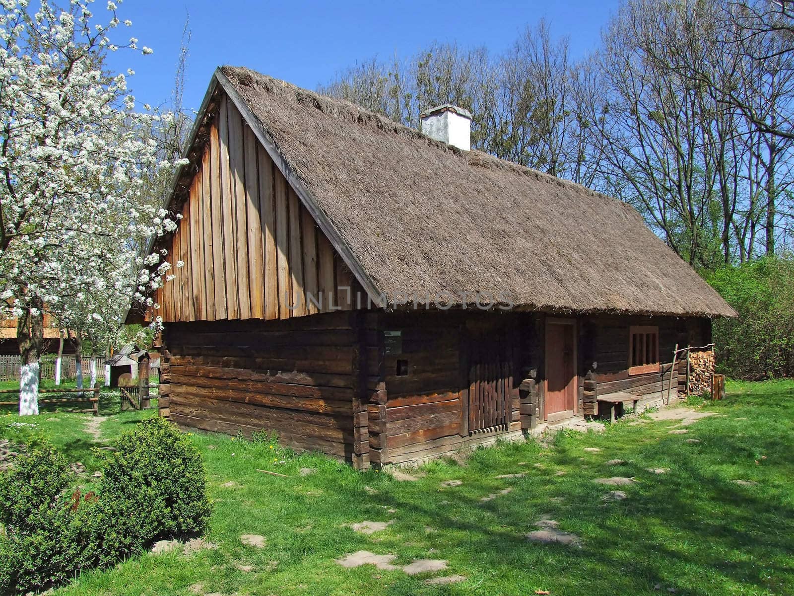 Old wooden hut in village, green grass around