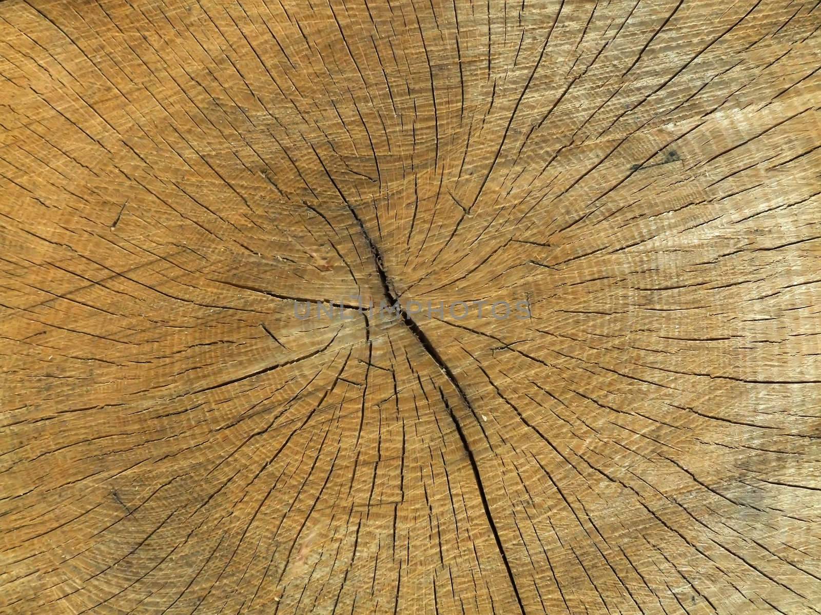 wooden texture