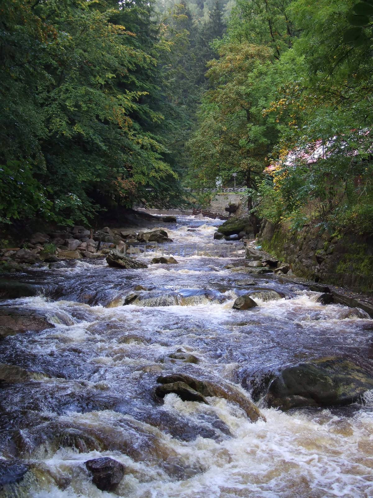 Water flows along a mountain stream (green toned)