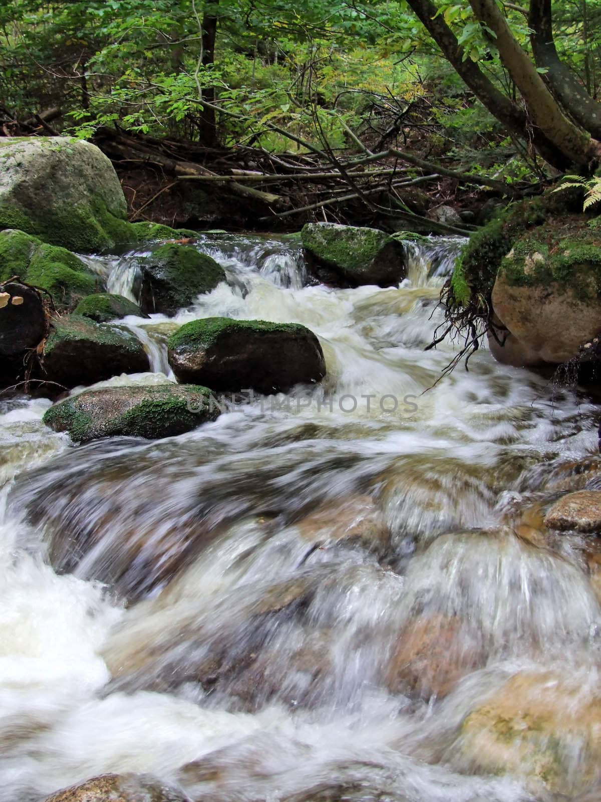 Water flows along a mountain stream (green toned)