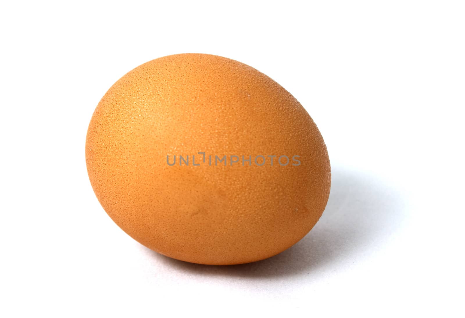 An egg on white background