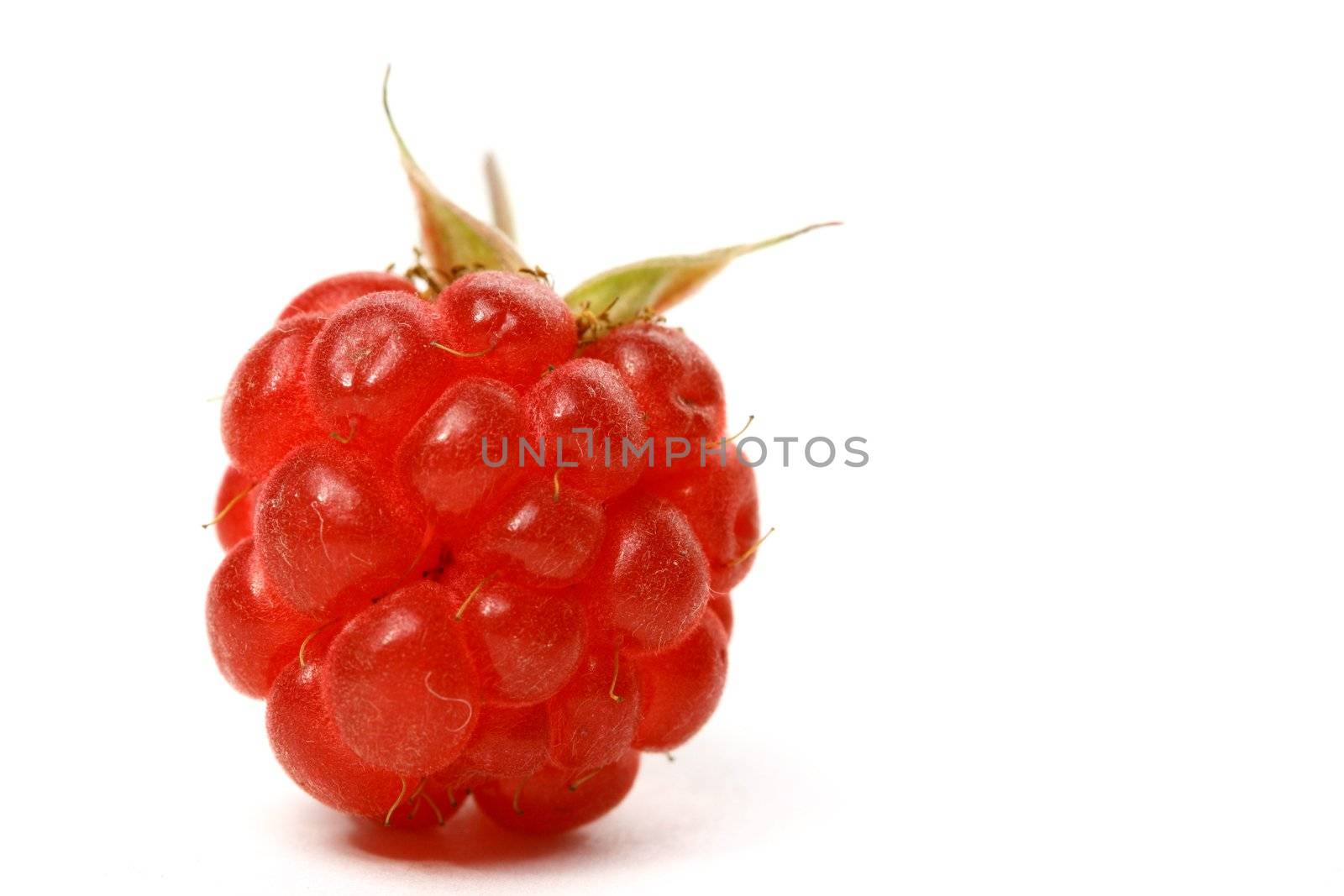 raspberry isolated on white background