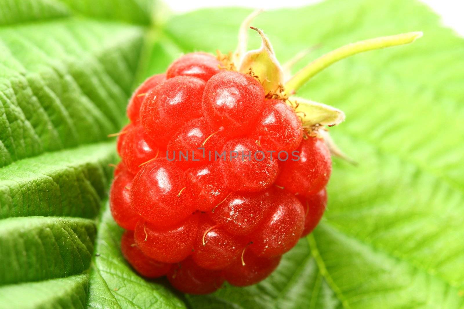 raspberry and green isolated on white background