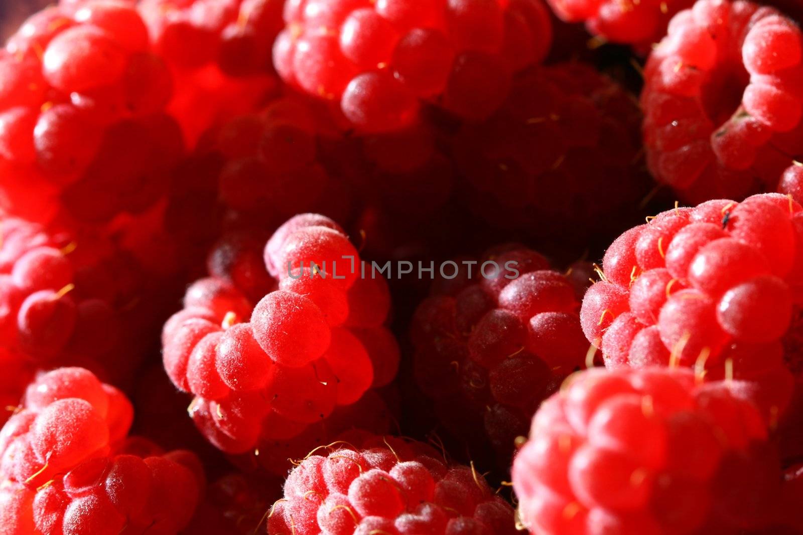 raspberry background by Yellowj