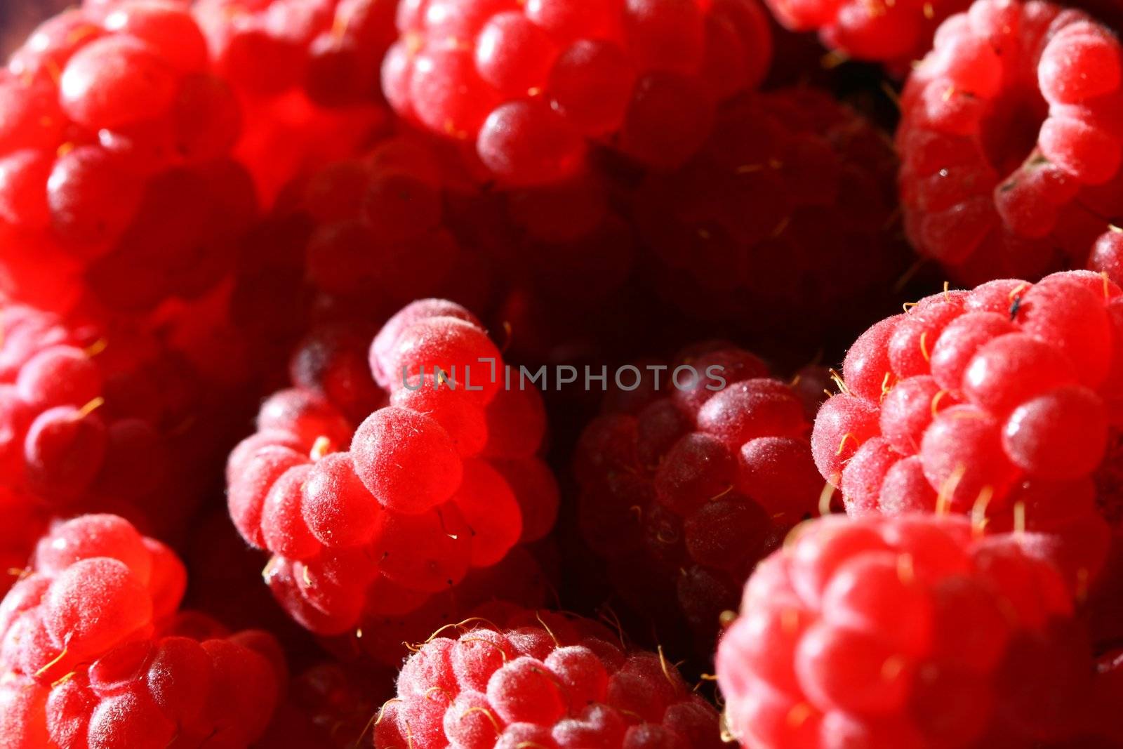 red raspberry background macro close up