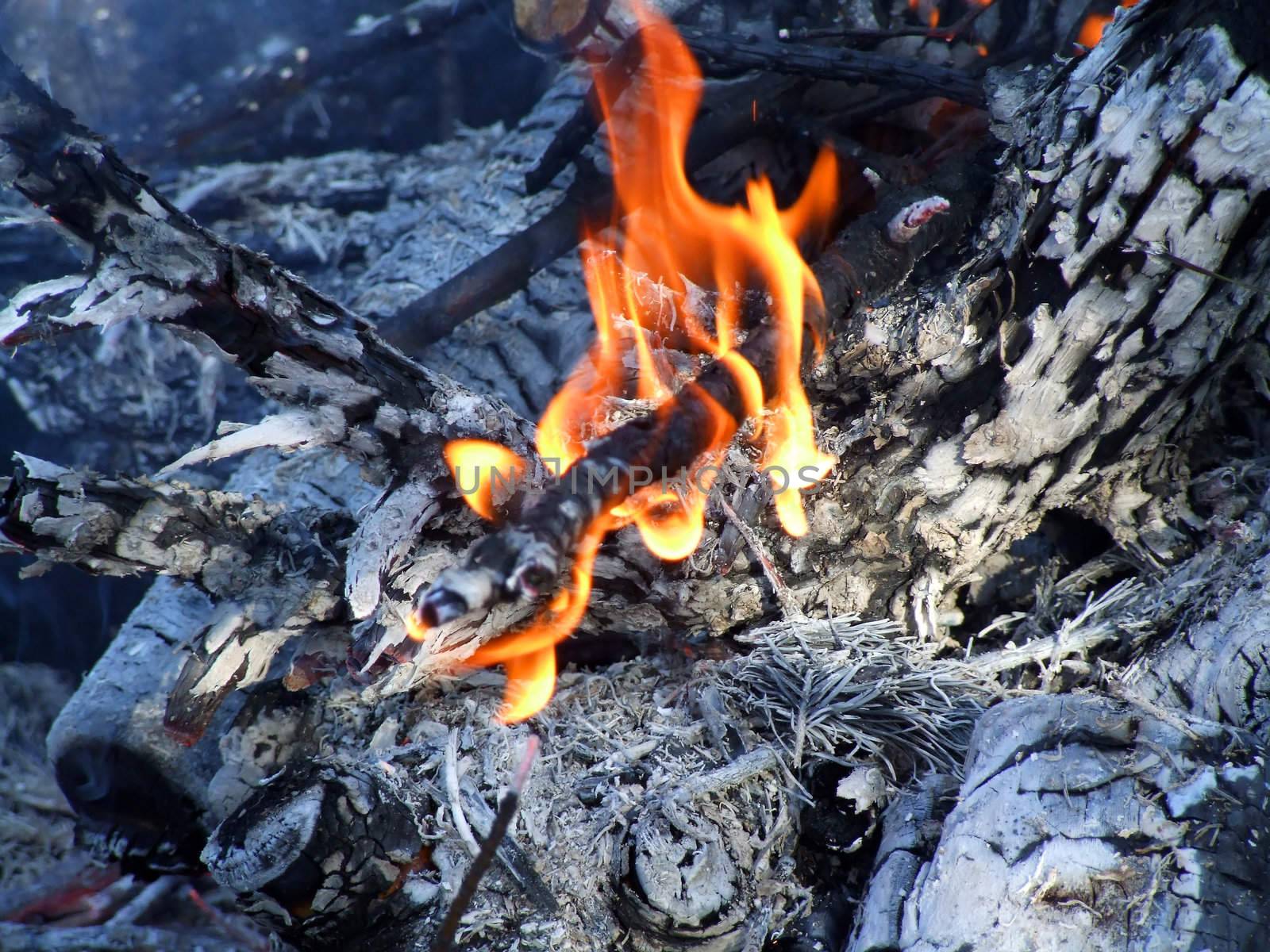 Burning logs in the fireplace