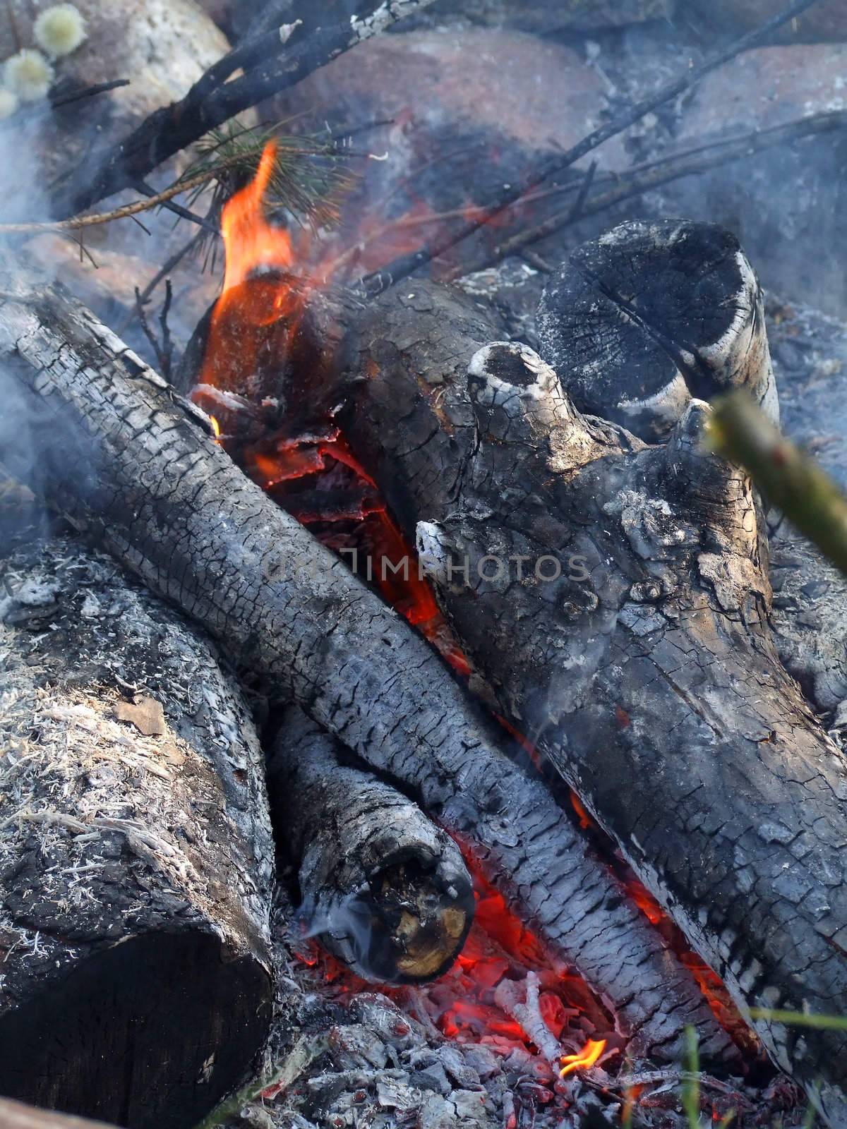 Burning logs in the fireplace