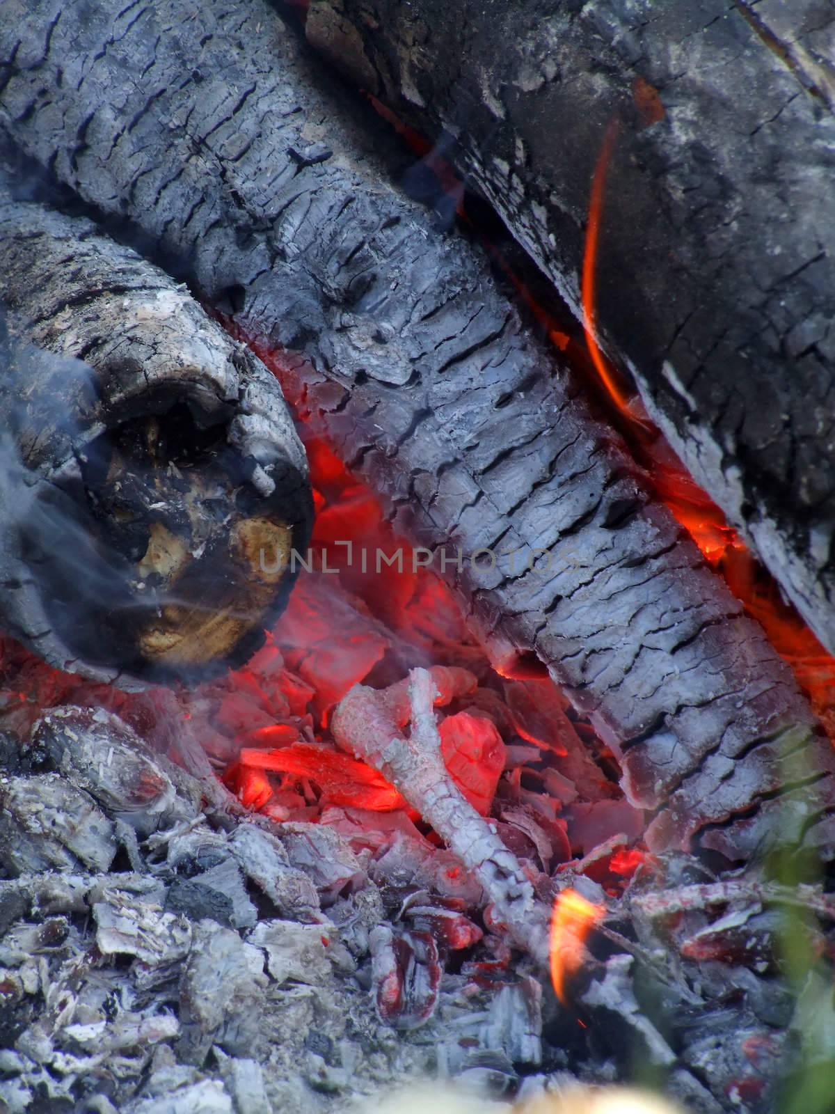 Burning logs in the fireplace