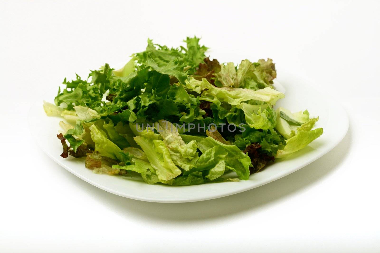 salad isolated on white background