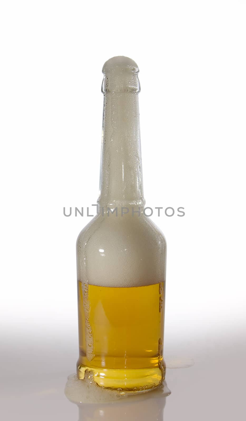 beer bottle by anki21