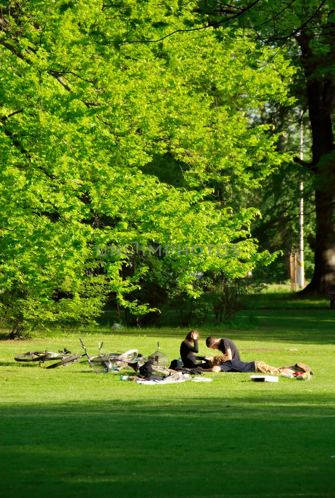 Group of friends having rest in the park by anki21